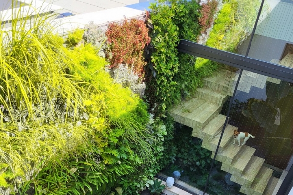 Living walls/ Vertical gardens