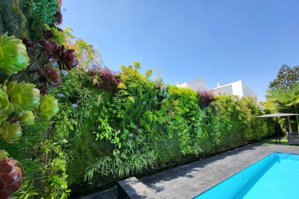Living walls/ Vertical gardens