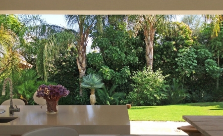 Tropical plants in Cyprus