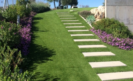 Q&A on garden design 