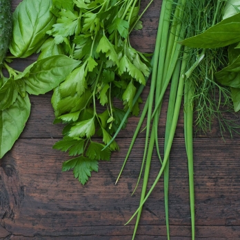 Ornamentals, Vegetables & Herbs
