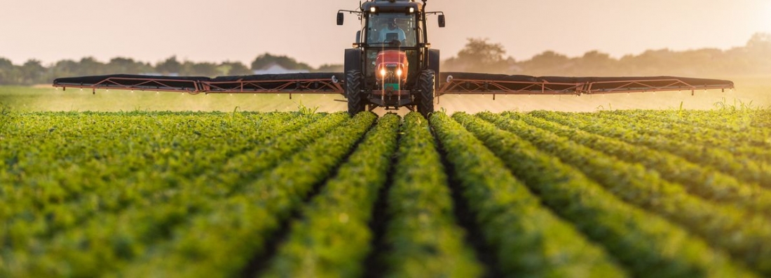 Chemicals & Fertilisers
