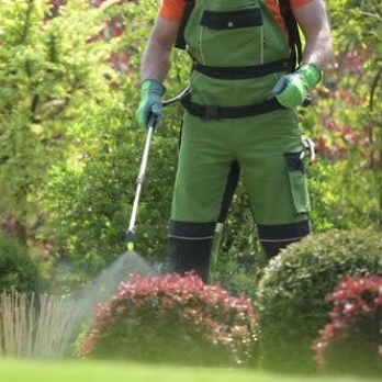 Chemicals & Fertilisers
