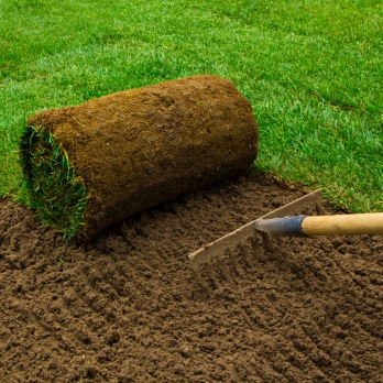 Sod/Turf