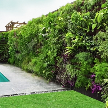 Living Walls