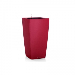 Cubico Color 40 Cherry