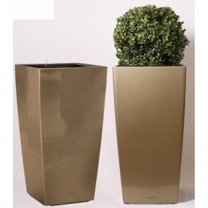 Cubico Premium 30/56 Pearlet Beige