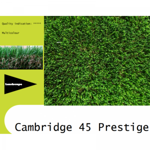 CAMBRIDGE 45 PRESTIGE 2018/m²