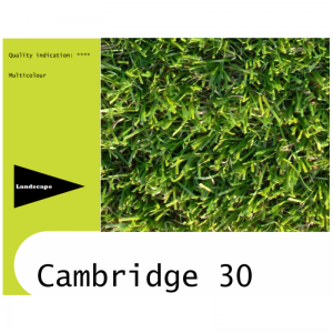 CAMBRIDGE 30 DELUXE/m²