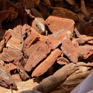 Φελλός Πεύκου 70 Λίτρα- Pine Bark 70Lit