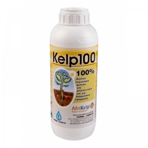 Kelp100