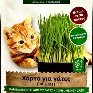 Χόρτο για γάτες