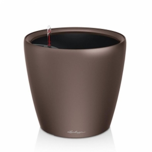 Classico Premium 35 AIO Espresso