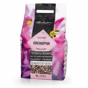 Orchid Pon