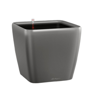 Quadro Premium 43