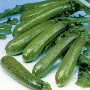 Κολοκυθάκι Μαύρο