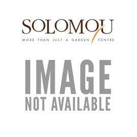 Γαρδένια/Gardenia